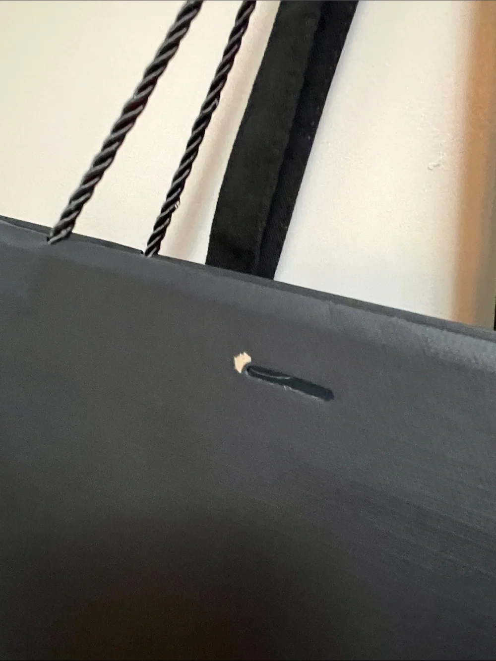 Park Hyatt New York Black Paper Gift Bag - XL